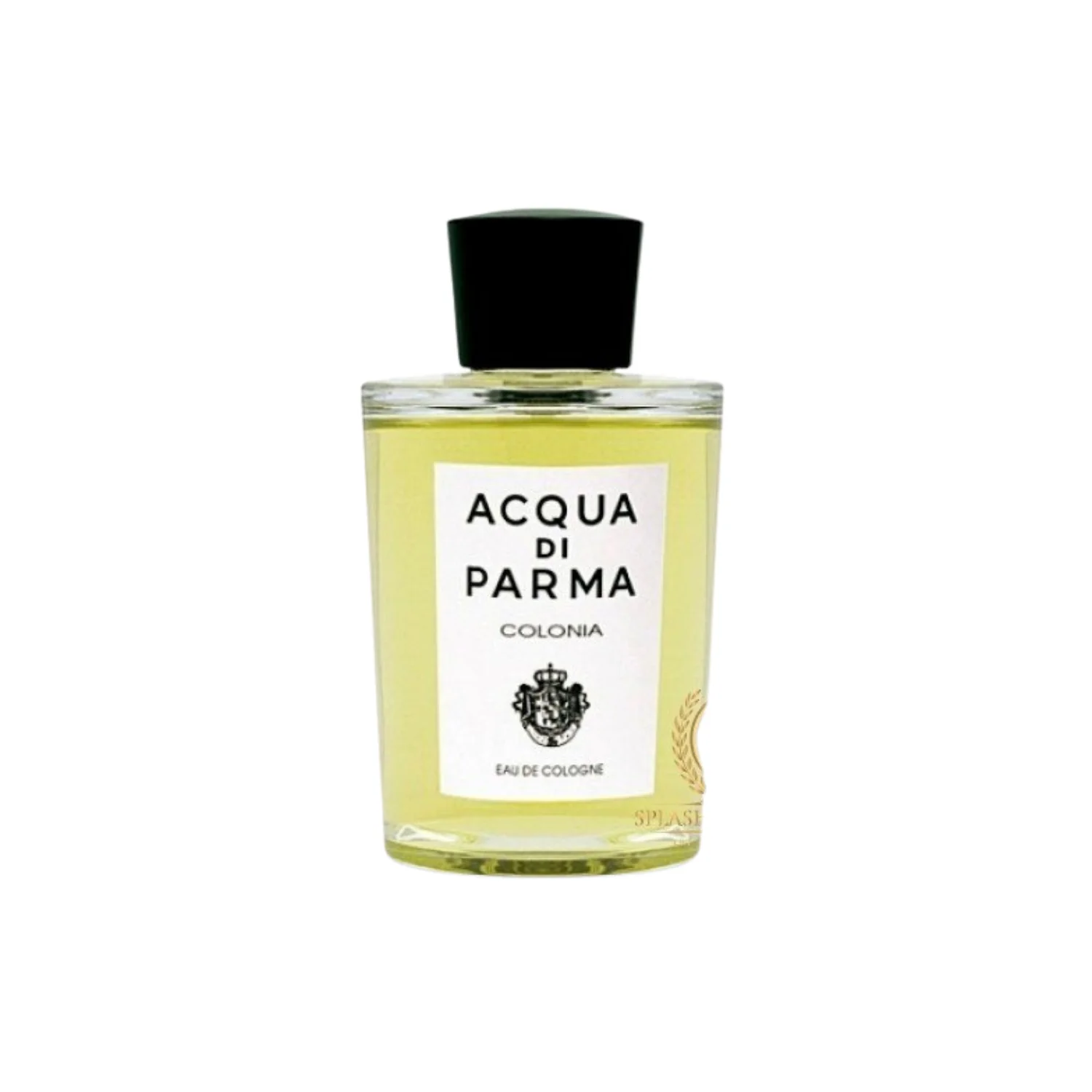 Colonia Assoluta By Acqua Di Parma EDC Perfume