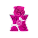 Central Park South By Bond No 9 EDP Perfume